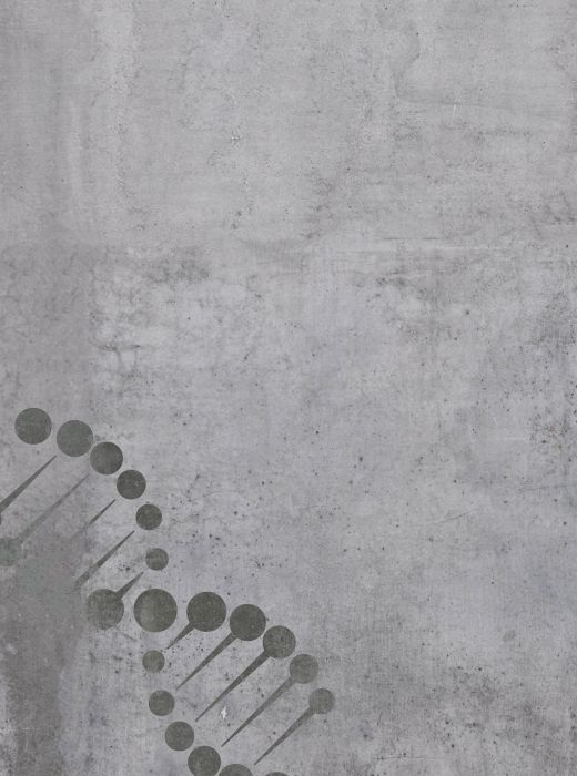 IFASG Berlin | Institut für Arbeitssicherheit