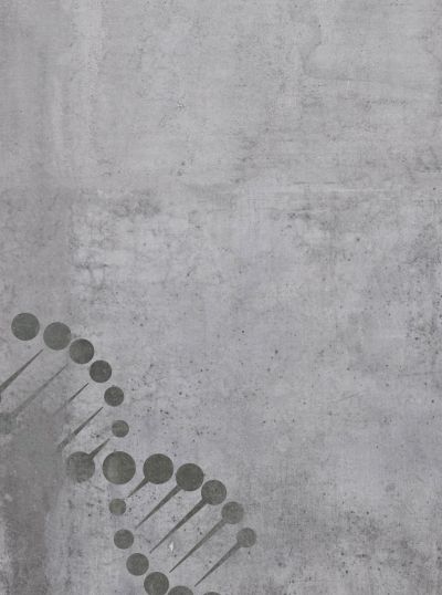 ifasg berlin institut arbeitssicherheit leistungen 